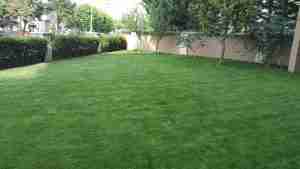 20160613_161816
