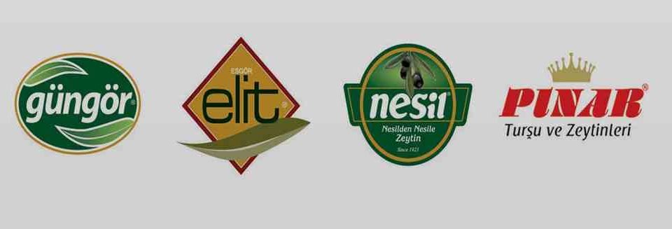 logo güngör zeytincilik