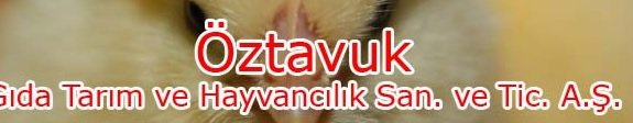 öztavuk logo