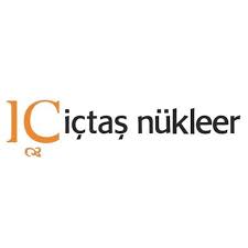 İC İÇTAŞ NÜKLEER LOGO